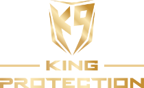 kingprotection.ro